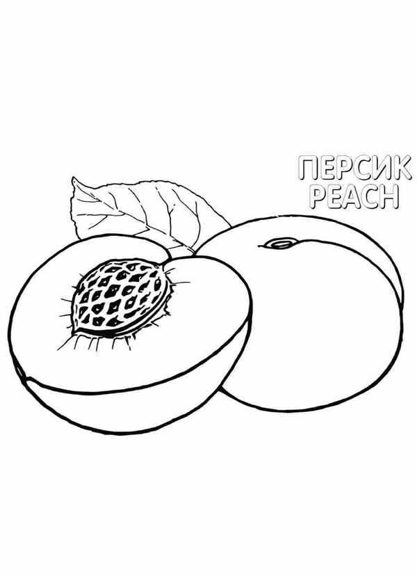 Слива раскраска для детей