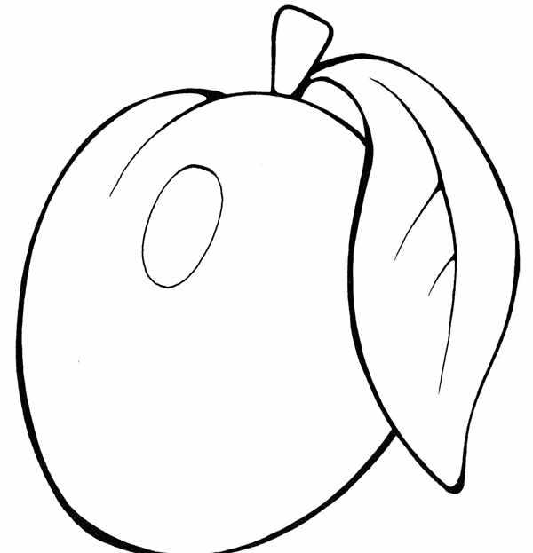 Абрикос раскраска