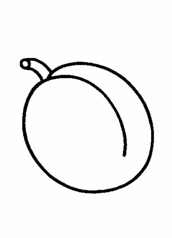 Раскраска фрукты абрикос