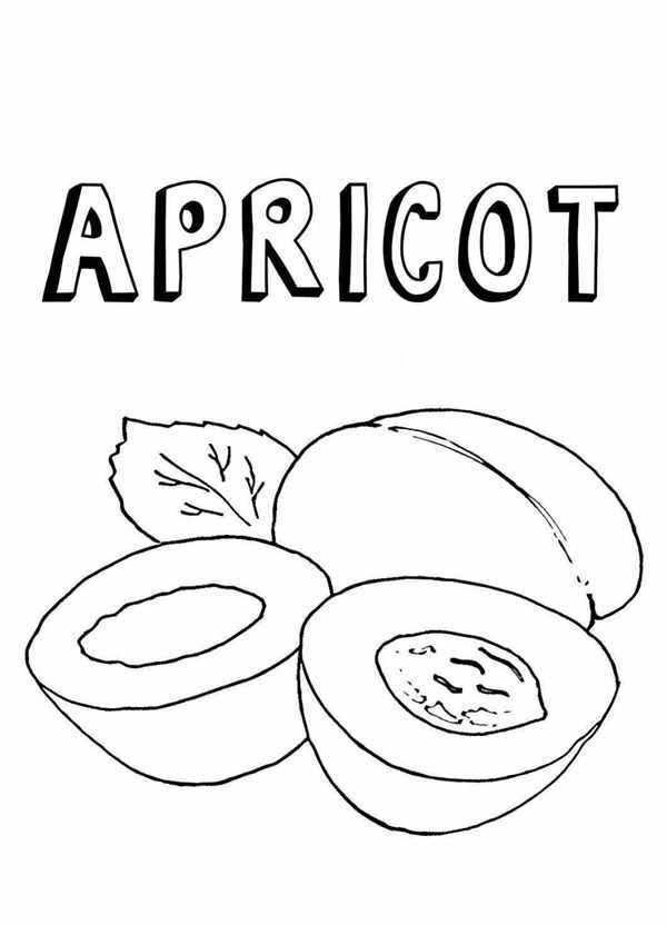 Персик раскраска
