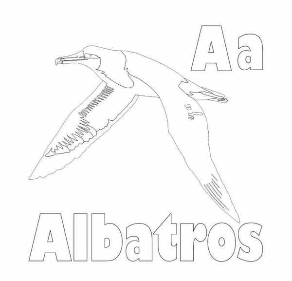 Раскраска Альбатross Шторм Ветер Приключений на Листе