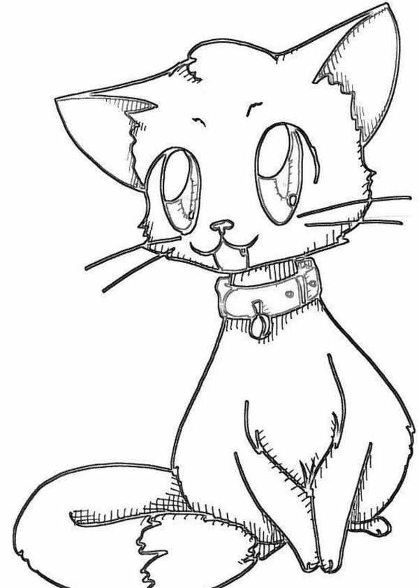 Charmmy Kitty раскраска