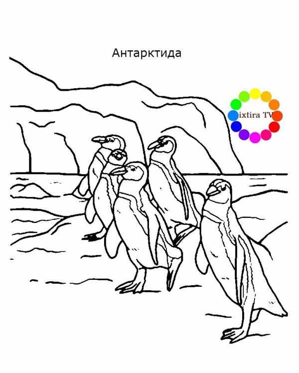 Контуры континентов