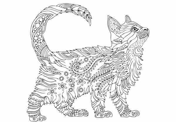 Раскраска кошечка