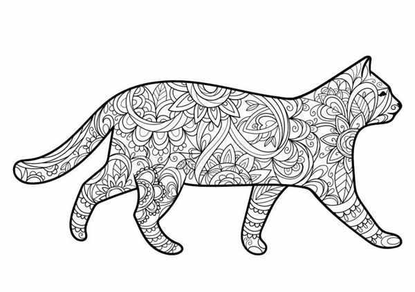 Кот балерина