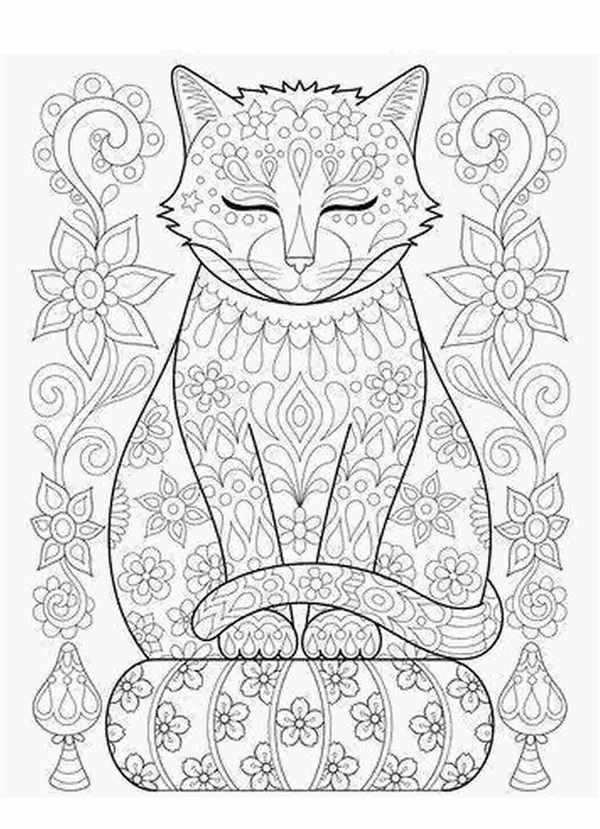 Раскраска котик балерина