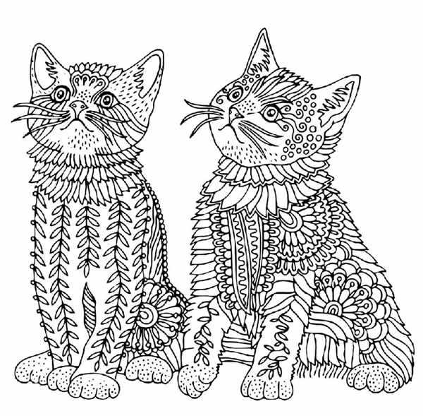 Раскраска. Котики