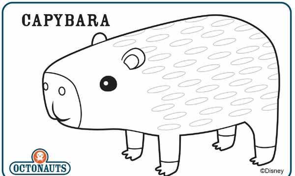 Раскраска Антистресс Как Капибара Дарит Мир и Расслабление