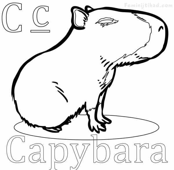 Капибара раскраска милая