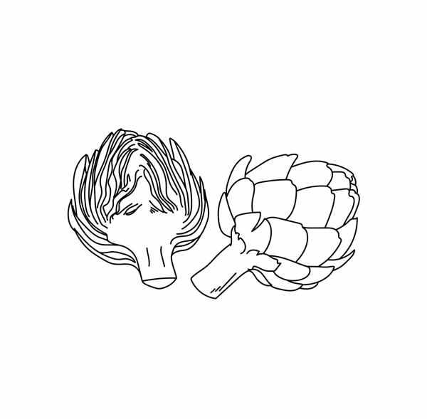 {Артишок рисунок}