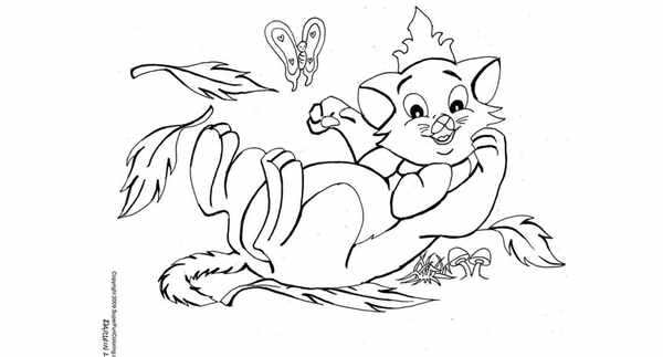 Раскраска кот