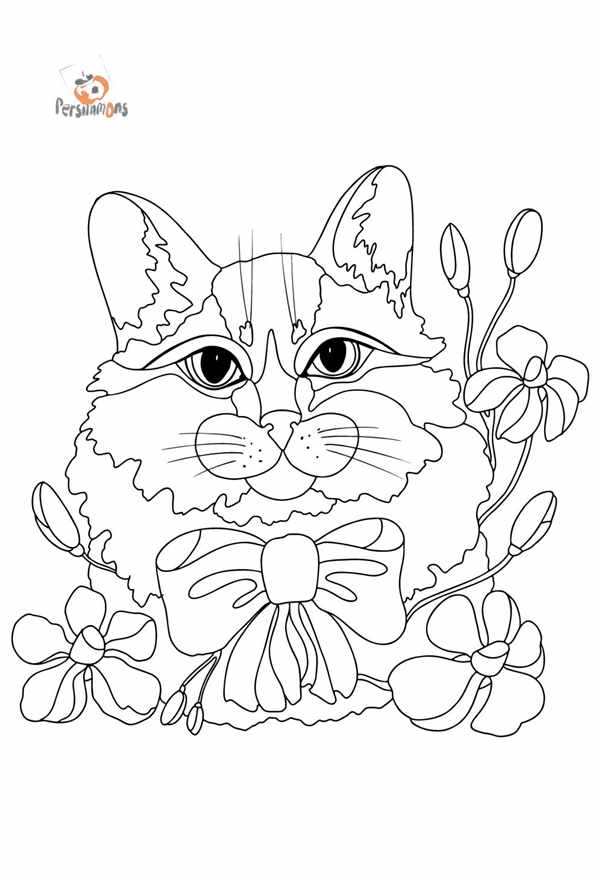 Кошки. Раскраска