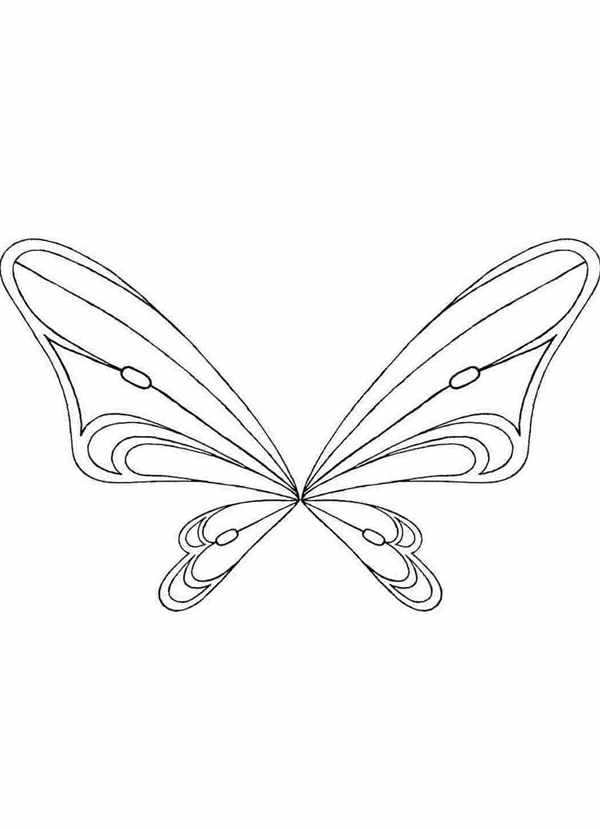 Раскраска Бабочка Расправила Крылья ВWonderful World