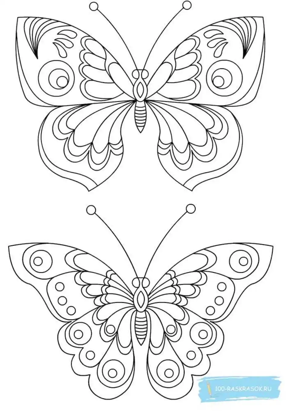 Butterfly vector PNG
