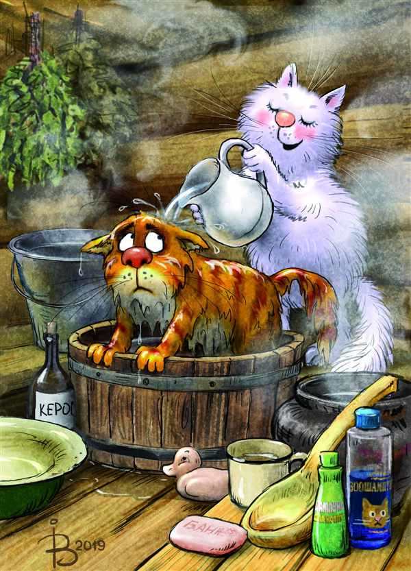 Раскраска котенок и собачка