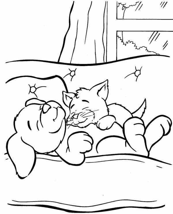 Кошка и собака рисунок