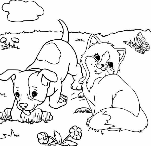 Кошки. Раскраска