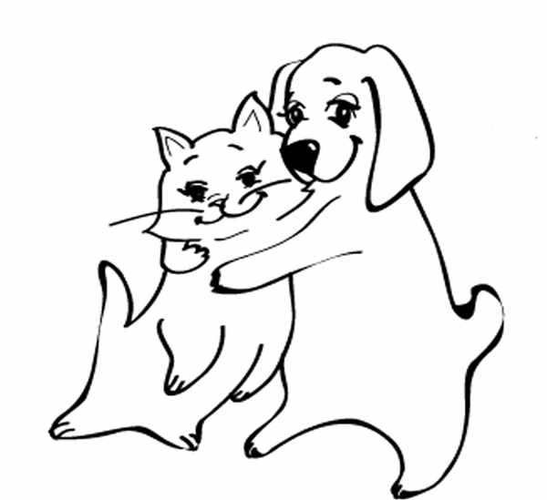 Кошки. Раскраска