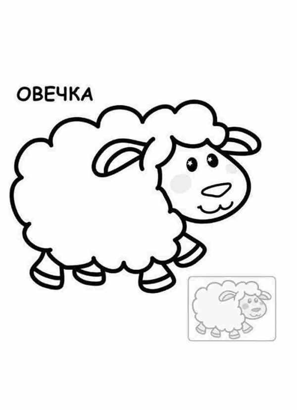 Овечка раскраска