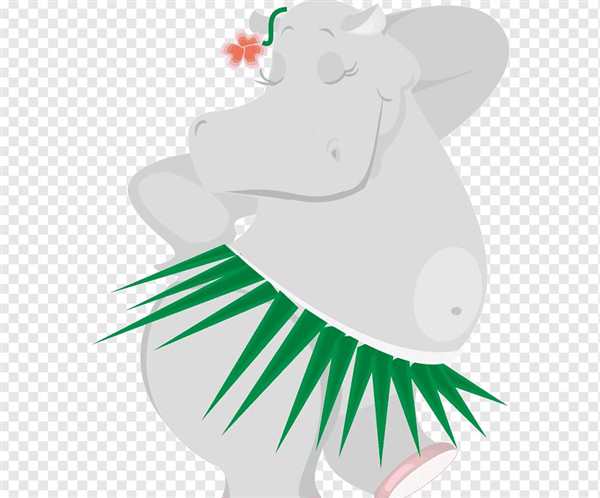 Hippo picture for Kids