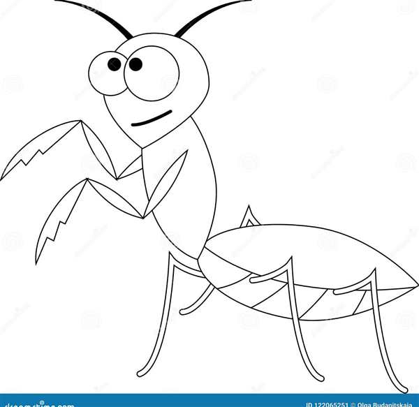 Кузнечик рисунок карандашом
