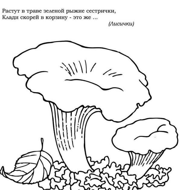 Гриб подосиновик раскраска