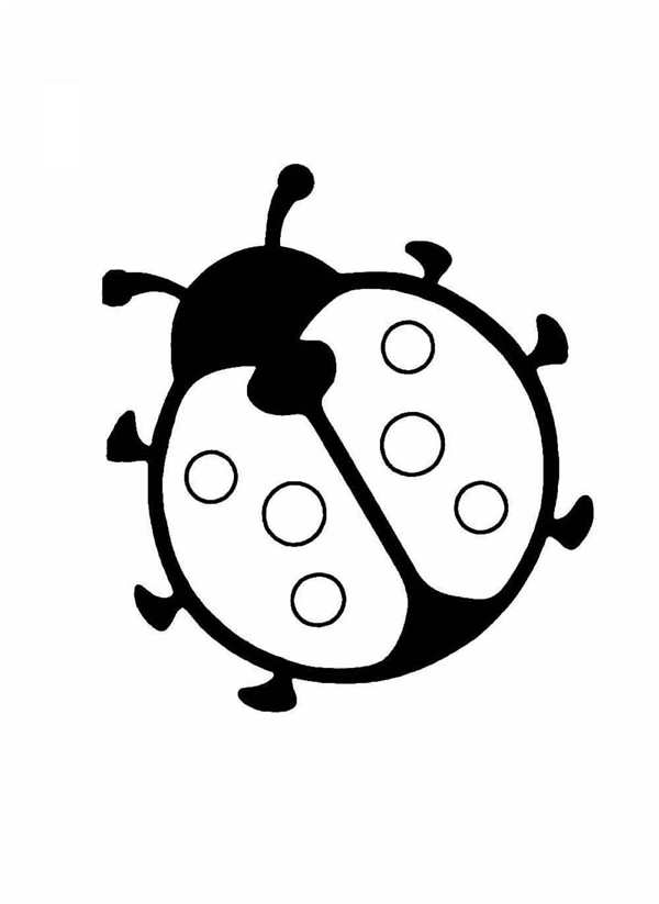 Раскраски Божья коровка для детей 6-7 лет