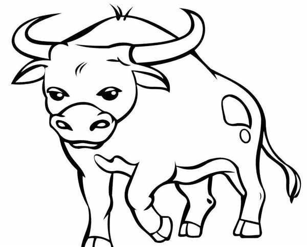 Buffalo раскраска