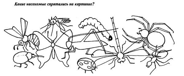 Колорадский Жук для детей