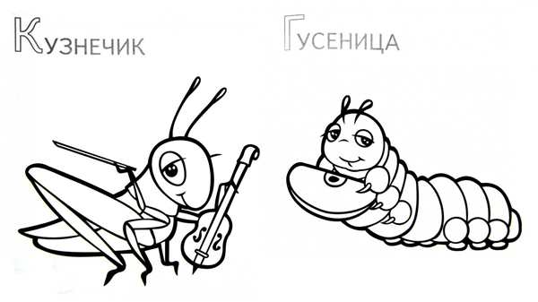 Раскраска Букашка Скачать и Увлечься