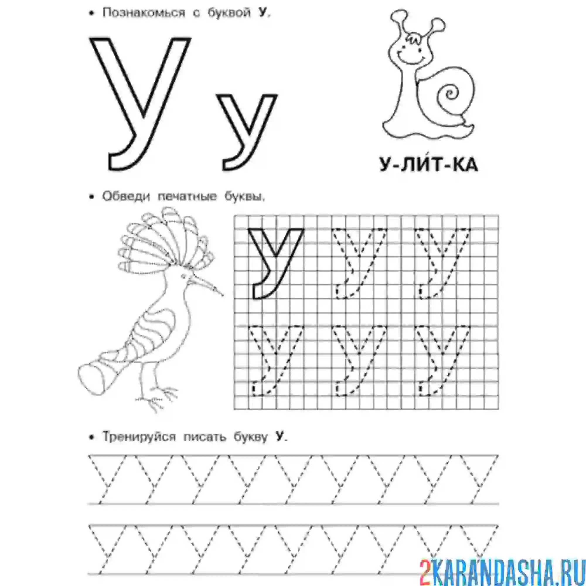 Пропись раскраска для дошкольников