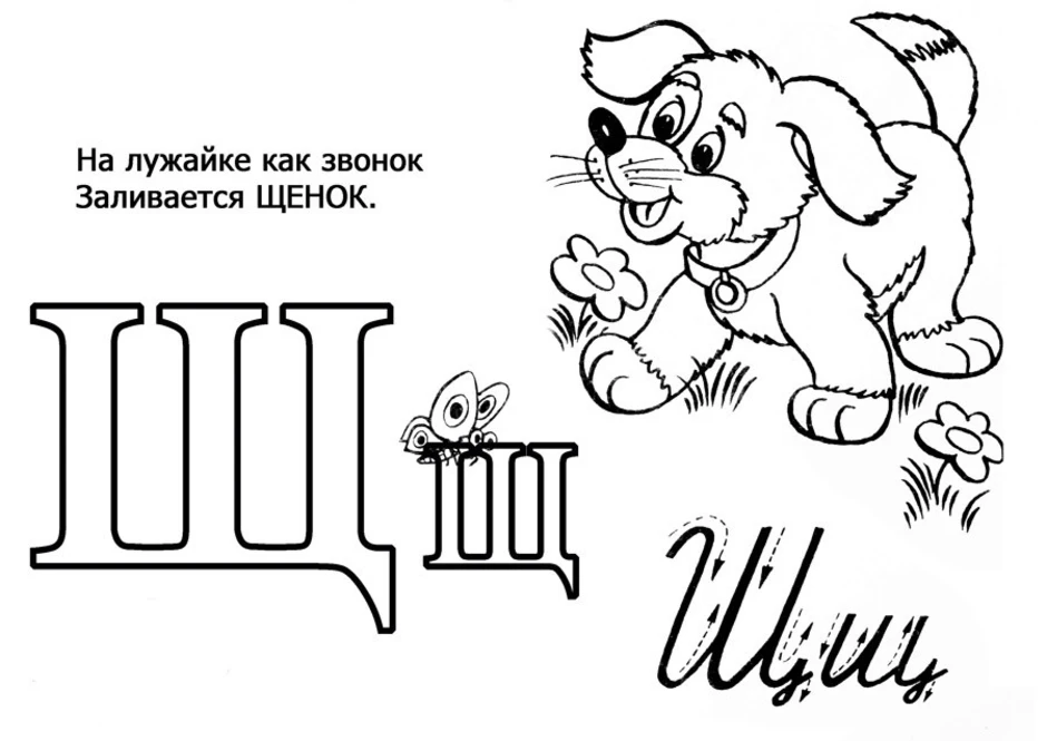 Буква ш раскраска для детей