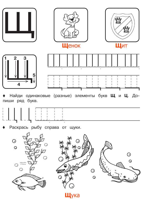 Пропись письменная буква ц