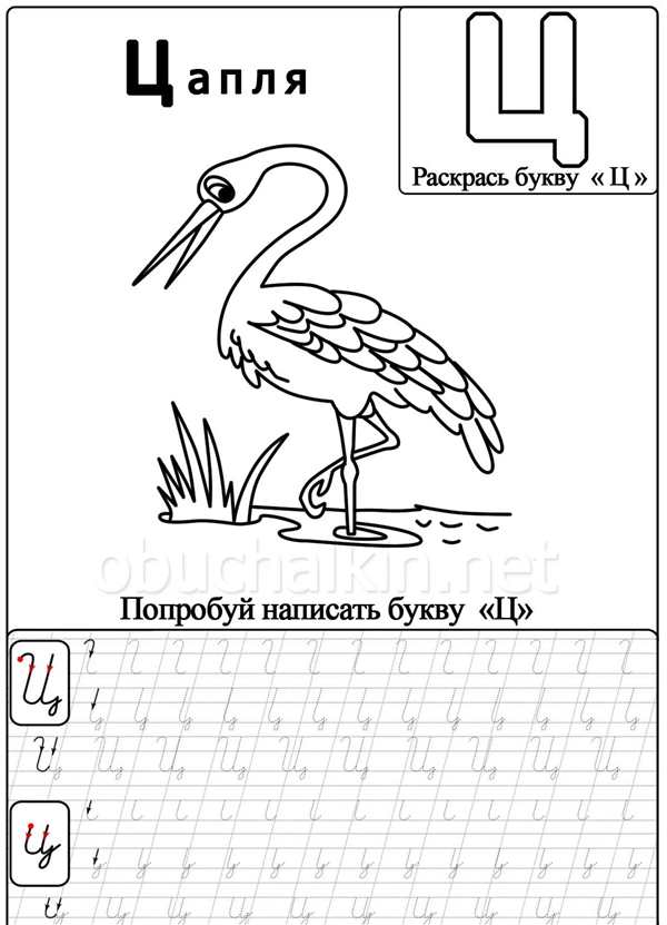 Задания для изучения буквы ч