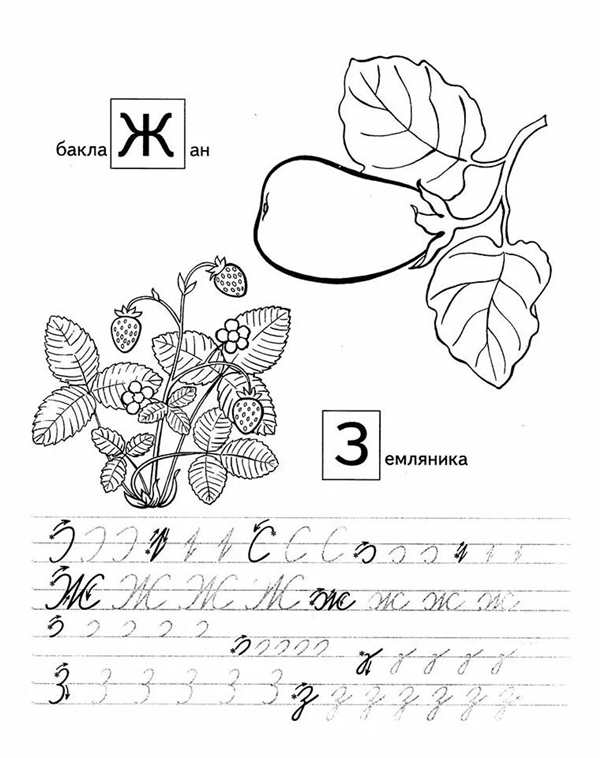 Задания на букву з для дошкольников 4-5 лет