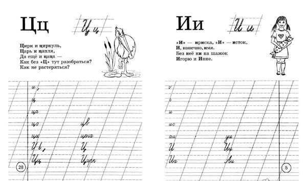 Прописи буква ц прописная