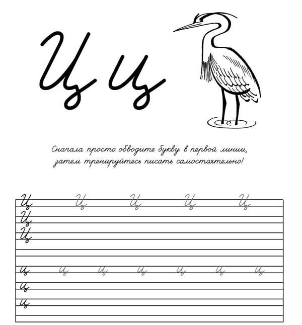 Буква ц задания для 1 класса