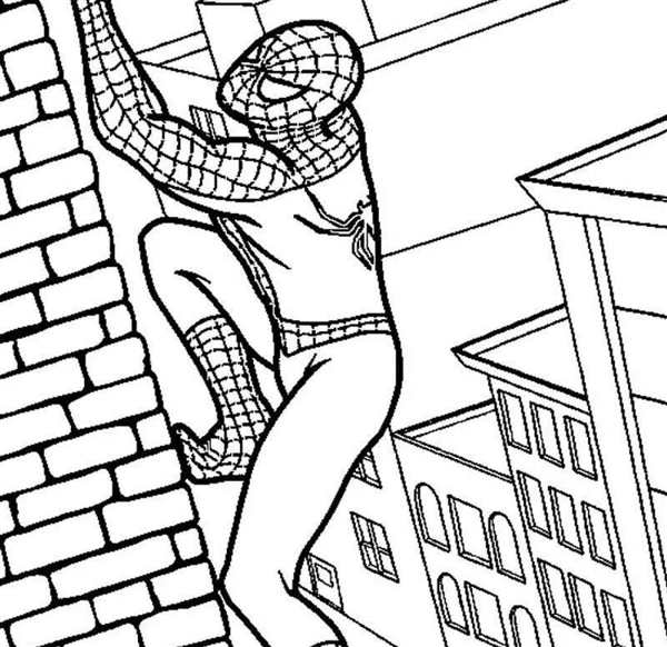 Раскраска Marvel человек-паук