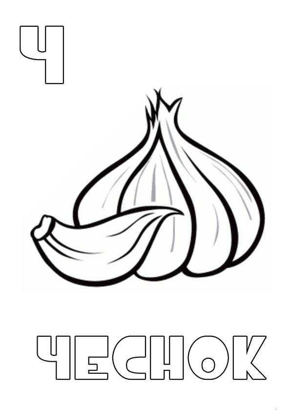 Чеснок раскраска