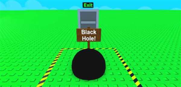 Раскраска Roblox Квин