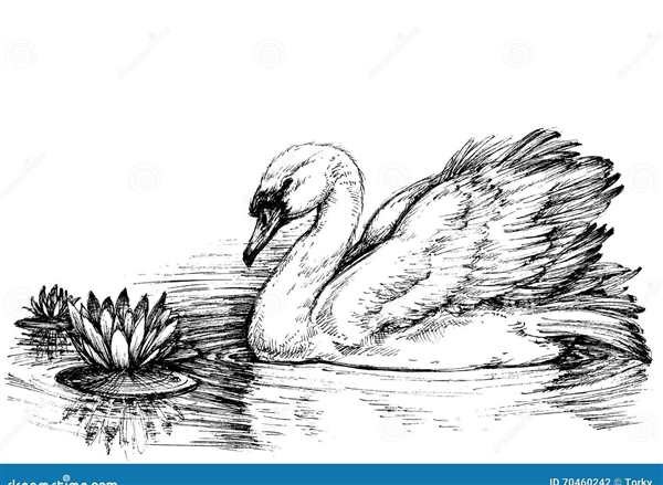 Лебедь рисунок для детей