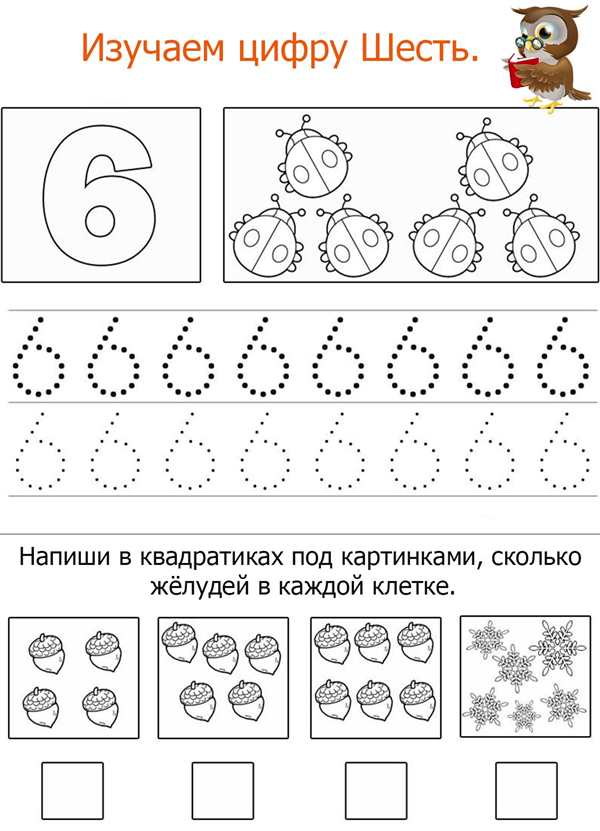 Число и цифра 6 прописи для дошкольников