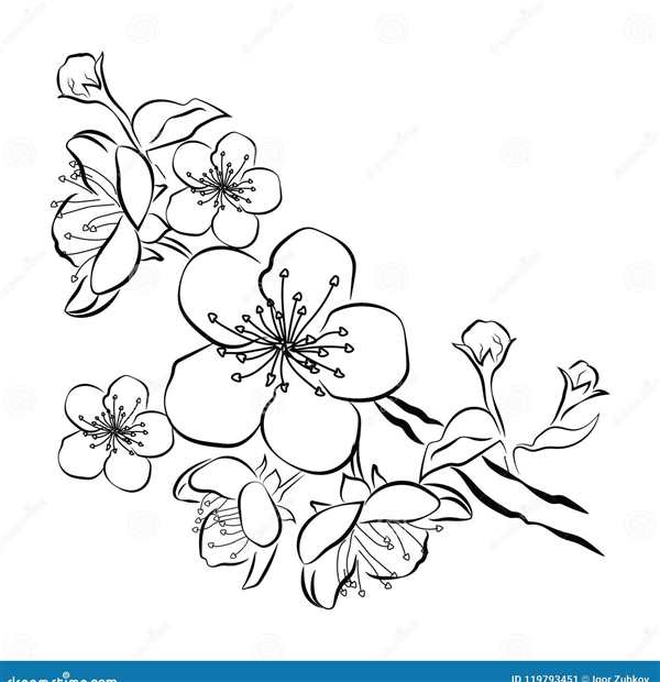 Рододендрон Даурский