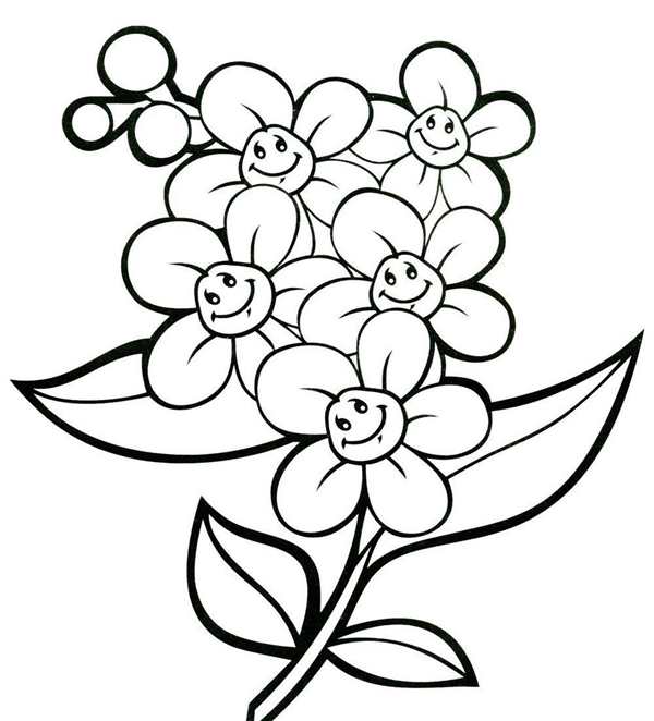 Цветы. Раскраска