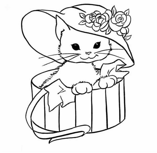 Раскраска кот