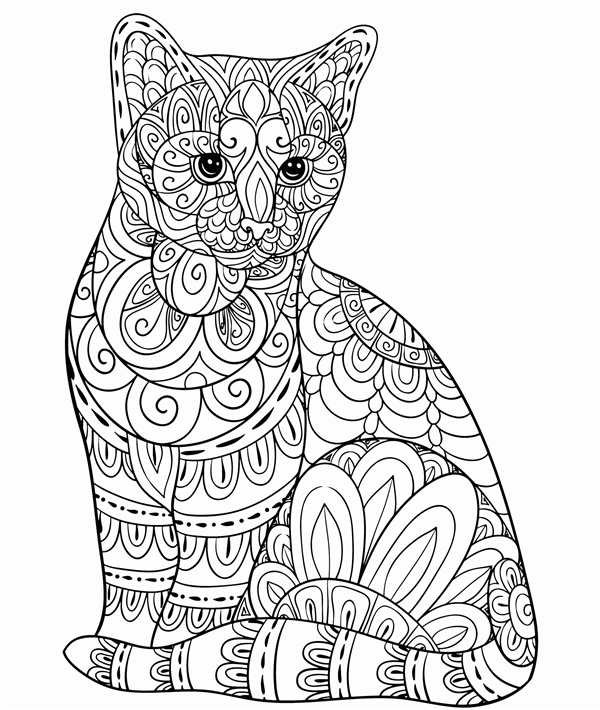 Раскраска кот цветы