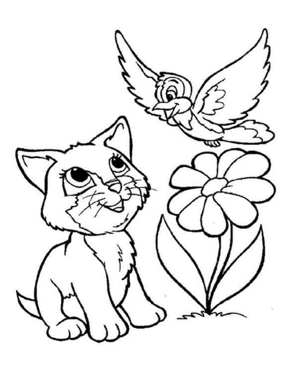 Кошки. Раскраска