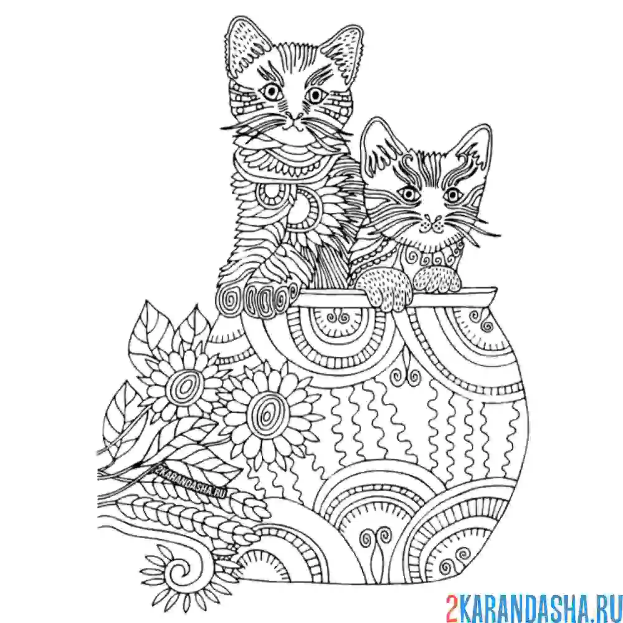 Раскраска Цветочный Кот