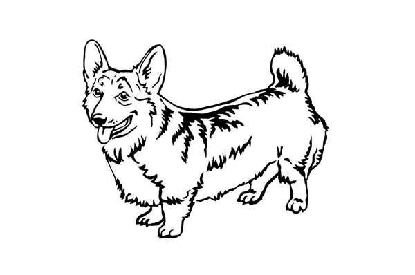 Щенок. Раскраска