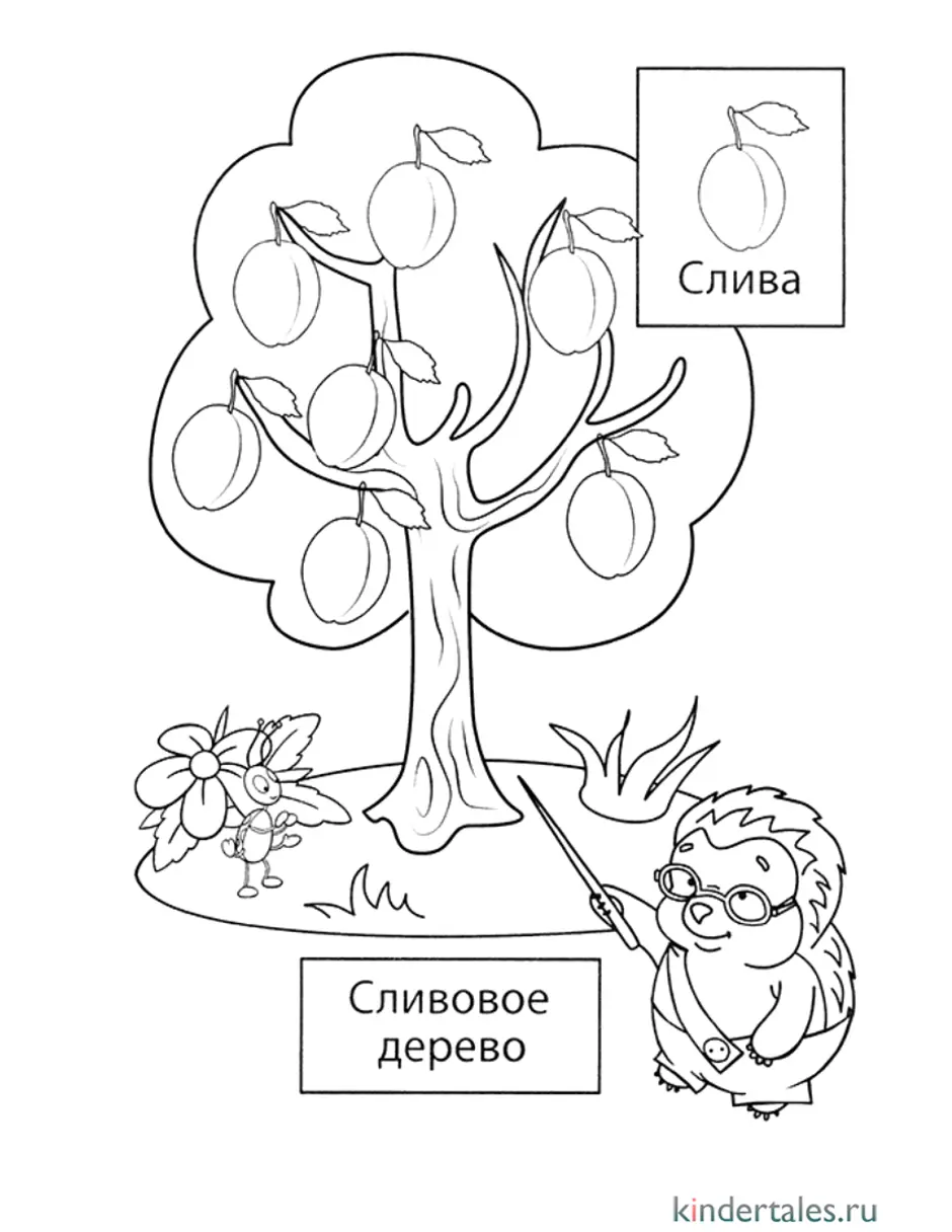 Весеннее дерево раскраска